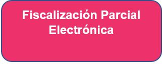 Fiscalización parcial Electrónica