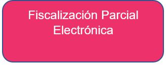 fiscalización parcial electrónica